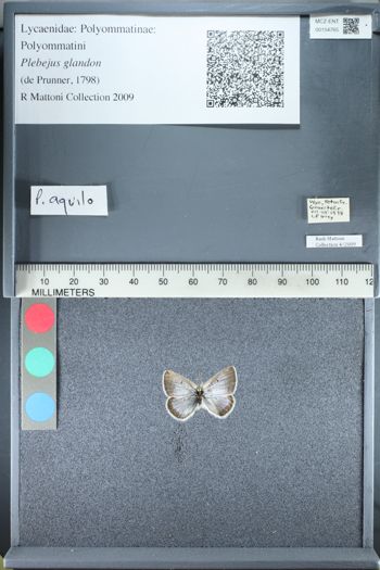 Media type: image;   Entomology 154765